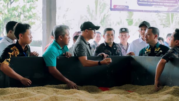 Pemprov Lampung Dorong Hilirisasi Gabah di Tingkat Desa Lewat Bed Dryer