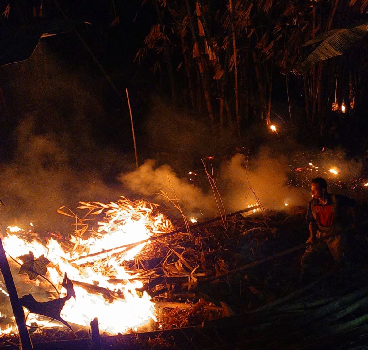 Kebakaran hutan dan lahan melanda Desa Banyuasih, Kecamatan Cigeulis, Kabupaten Pandeglang, Provinsi Banten pada Minggu, (23/8)