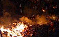 Kebakaran hutan dan lahan melanda Desa Banyuasih, Kecamatan Cigeulis, Kabupaten Pandeglang, Provinsi Banten pada Minggu, (23/8)