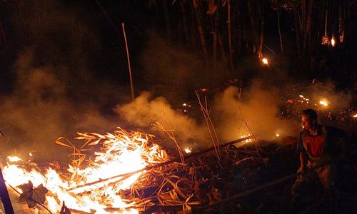 Kebakaran hutan dan lahan melanda Desa Banyuasih, Kecamatan Cigeulis, Kabupaten Pandeglang, Provinsi Banten pada Minggu, (23/8)