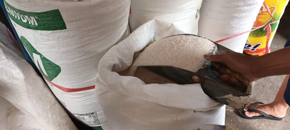 Harga Beras Makin Mahal, Petani Kekeringan