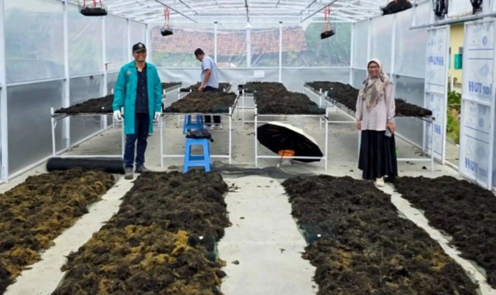 undip jamur.jpg