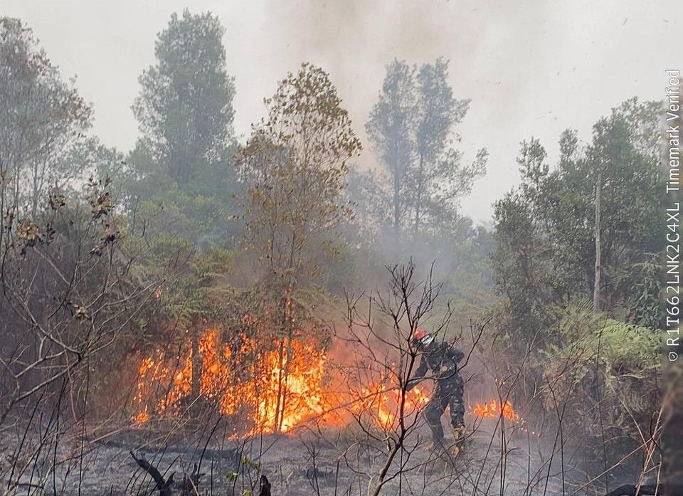Kebakaran Lahan di Kutai Barat pada Senin, 31 Agustus 2026