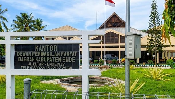Geger! Ketua DPRD Ende Diduga Hajar Anggota Dewan di Ruang Sidang