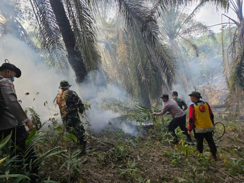 Karhutla Kutai Timur mencapai 81 kejadian dengan 143 hektare lahan terdampak. BPBD Kutim mewaspadai puncak musim kemarau dan 51 hotspot.