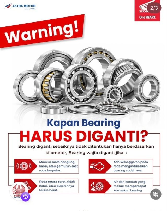 1000721013.jpg
