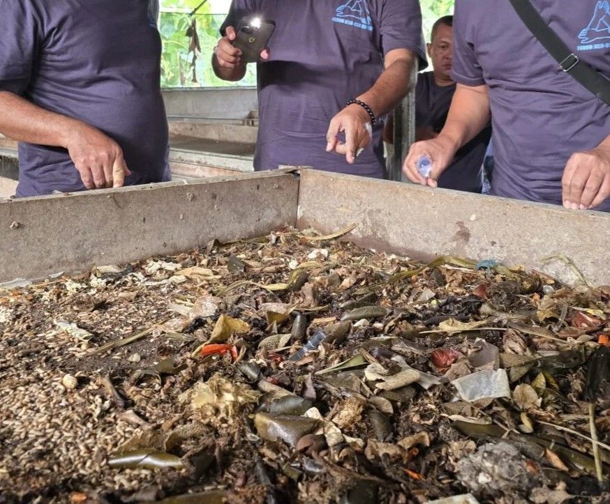 Pengolahan sampah organik menjadi maggot.