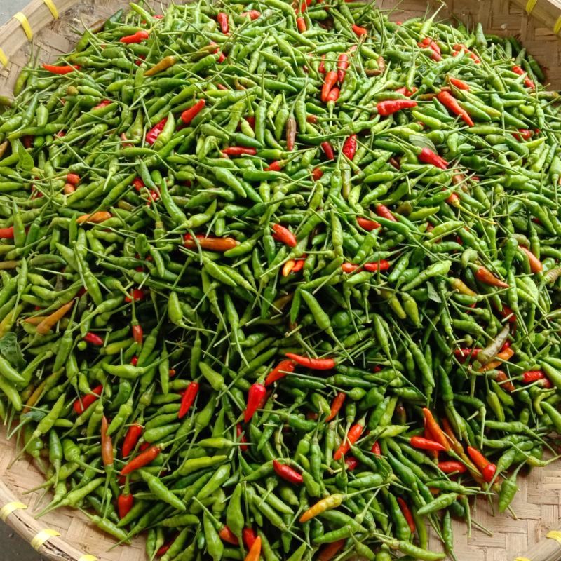Cabai rawit