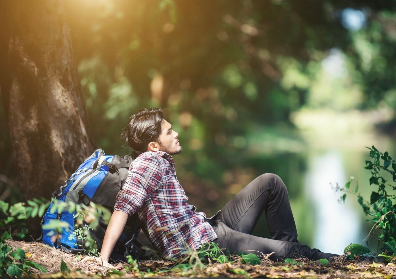 Kenali Forest Bathing yang Dikenal Bermanfaat untuk Fisik dan Mental
