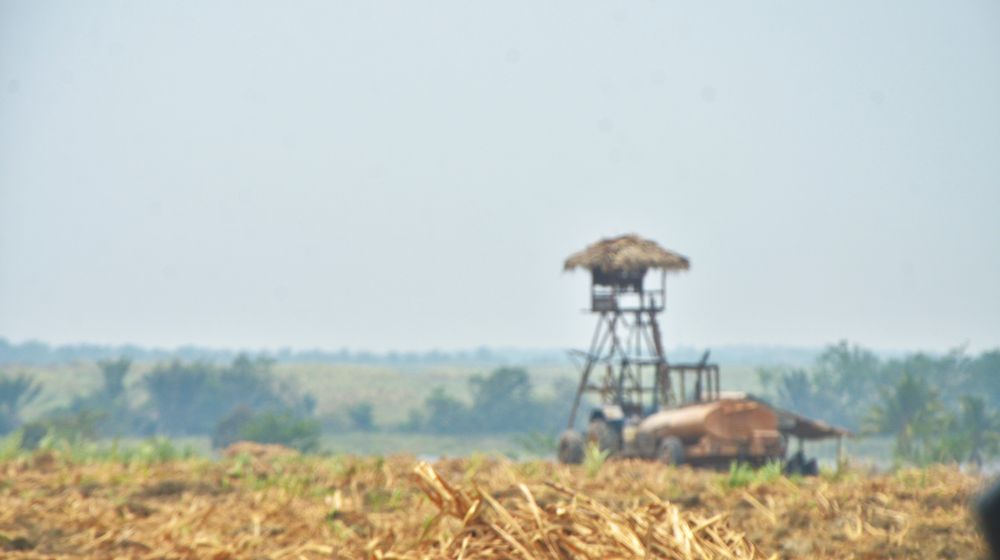 ini foto.jpg