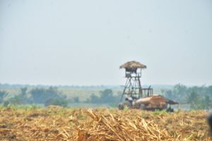 ini foto.jpg