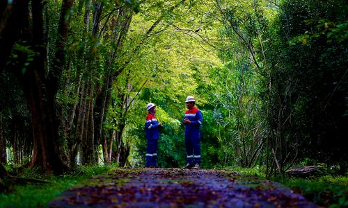 PGN memperkuat strategi dekarbonisasi untuk meningkatkan efisiensi operasional sekaligus menjaga daya saing bisnis perusahaan