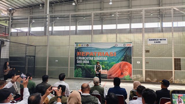 Menteri Kehutanan Raja Juli Antoni saat pemulangan seekor orangutan Sumatra bernama Rocky di Terminal Kargo Bandara Internasional Kualanamu