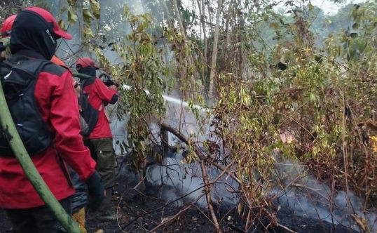 Penanganan Karhutla di RT. 12 Kelurahan Jenebora, Kabupaten PPU pada Jum'at, 16 Oktober 2026