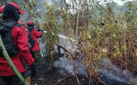 Penanganan Karhutla di RT. 12 Kelurahan Jenebora.png