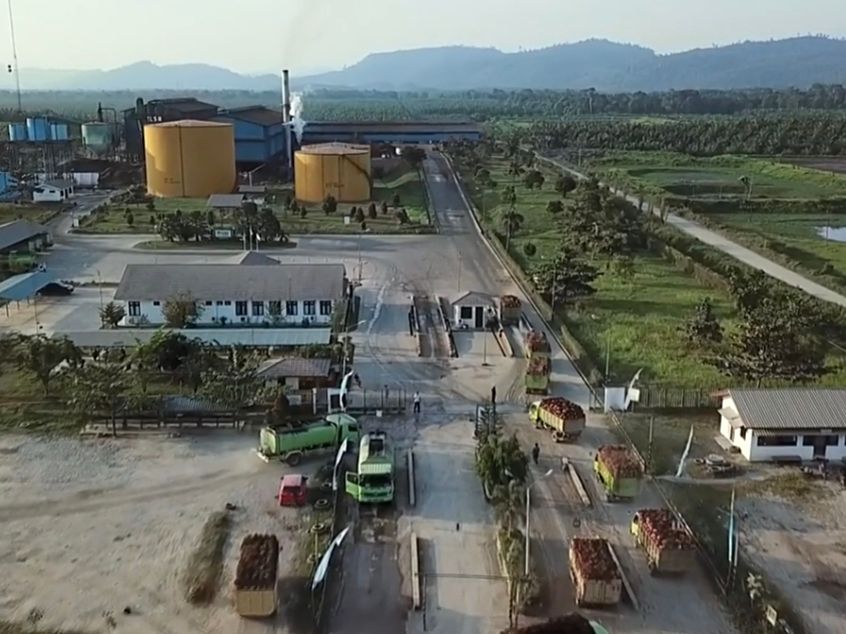 Pabrik Kelapa Sawit PKS Palma Serasih Group (PSGO) di Kaltim. 