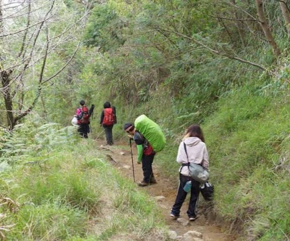 gunung.jpg