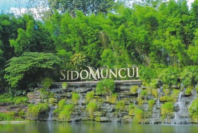 SIDOMUNCUL.jpg