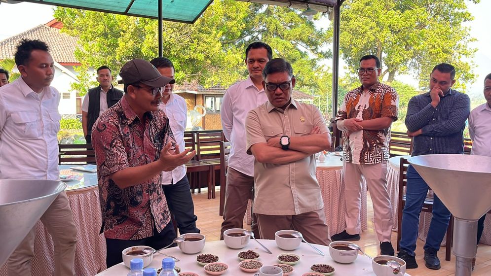 Tingkatkan Daya Saing, PTPN I Perkuat Hilirisasi Kopi Ijen.jpeg